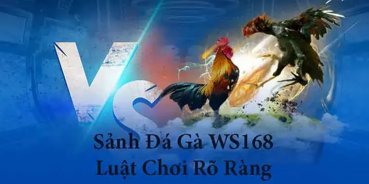 Bí Quyết Chinh Phục Đá Gà WS168 Tại ABC8: Kinh Nghiệm Thực Chiến