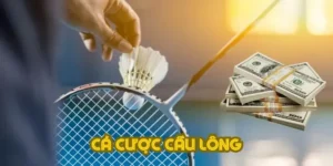 Hướng Dẫn Cá Cược Cầu Lông Tại ABC8 Thắng Lớn Trong 3 Bước
