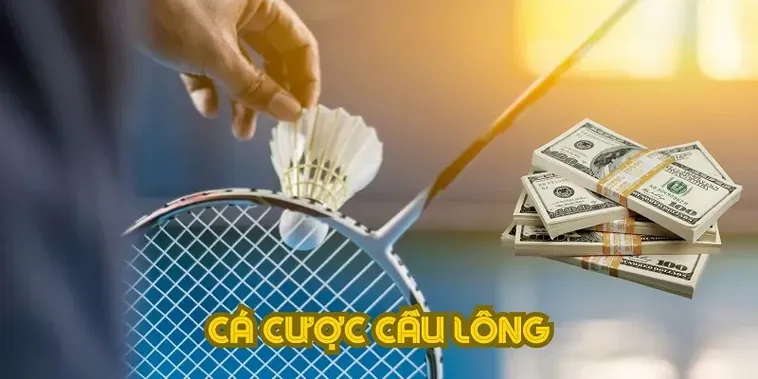 Hướng Dẫn Cá Cược Cầu Lông Tại ABC8 Thắng Lớn Trong 3 Bước