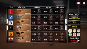 6 Mẹo Chơi Game Nhanh Đua Chó Tại ABC8 Để Thắng Lớn